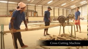cross cutting machine